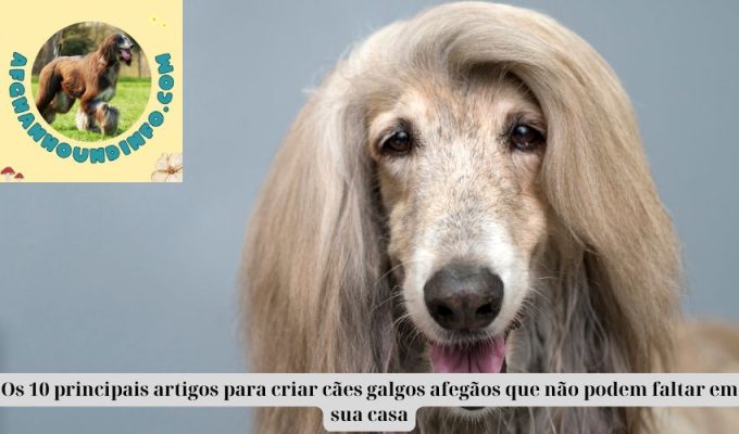 Os 10 principais artigos para criar cães galgos afegãos que não podem faltar em sua casa