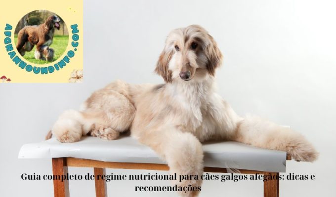 Guia completo de regime nutricional para cães galgos afegãos: dicas e recomendações