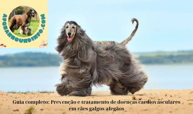 Guia completo: Prevenção e tratamento de doenças cardiovasculares em cães galgos afegãos