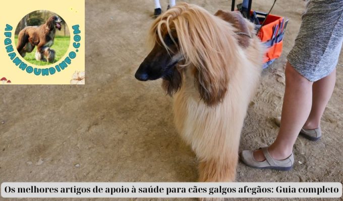 Os melhores artigos de apoio à saúde para cães galgos afegãos: Guia completo